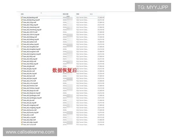 安全可靠的ag视讯下载途径，避免病毒与恶意软件的最佳建议